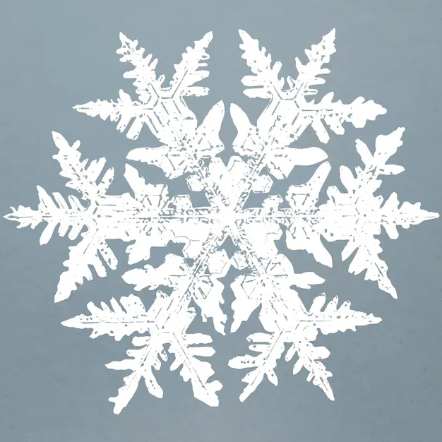 Snowflake Art